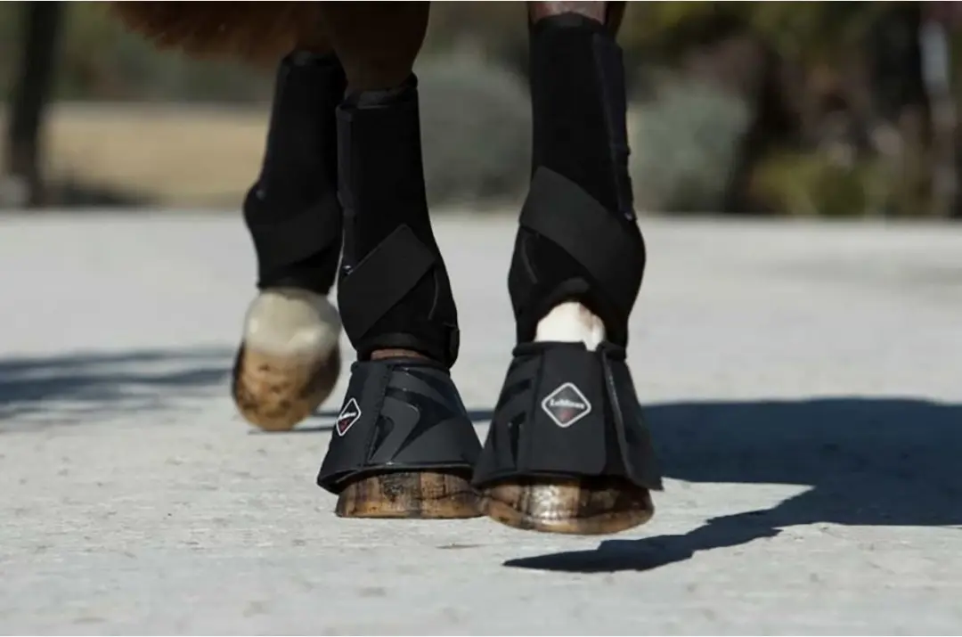 Lemieux Proshell Springschoenen - M - 2 Stuks