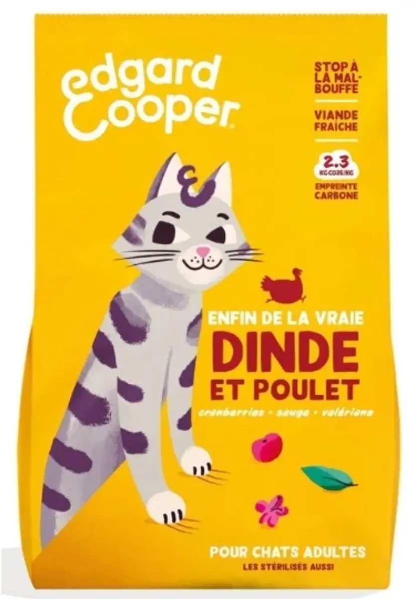 Edgard Cooper Chat