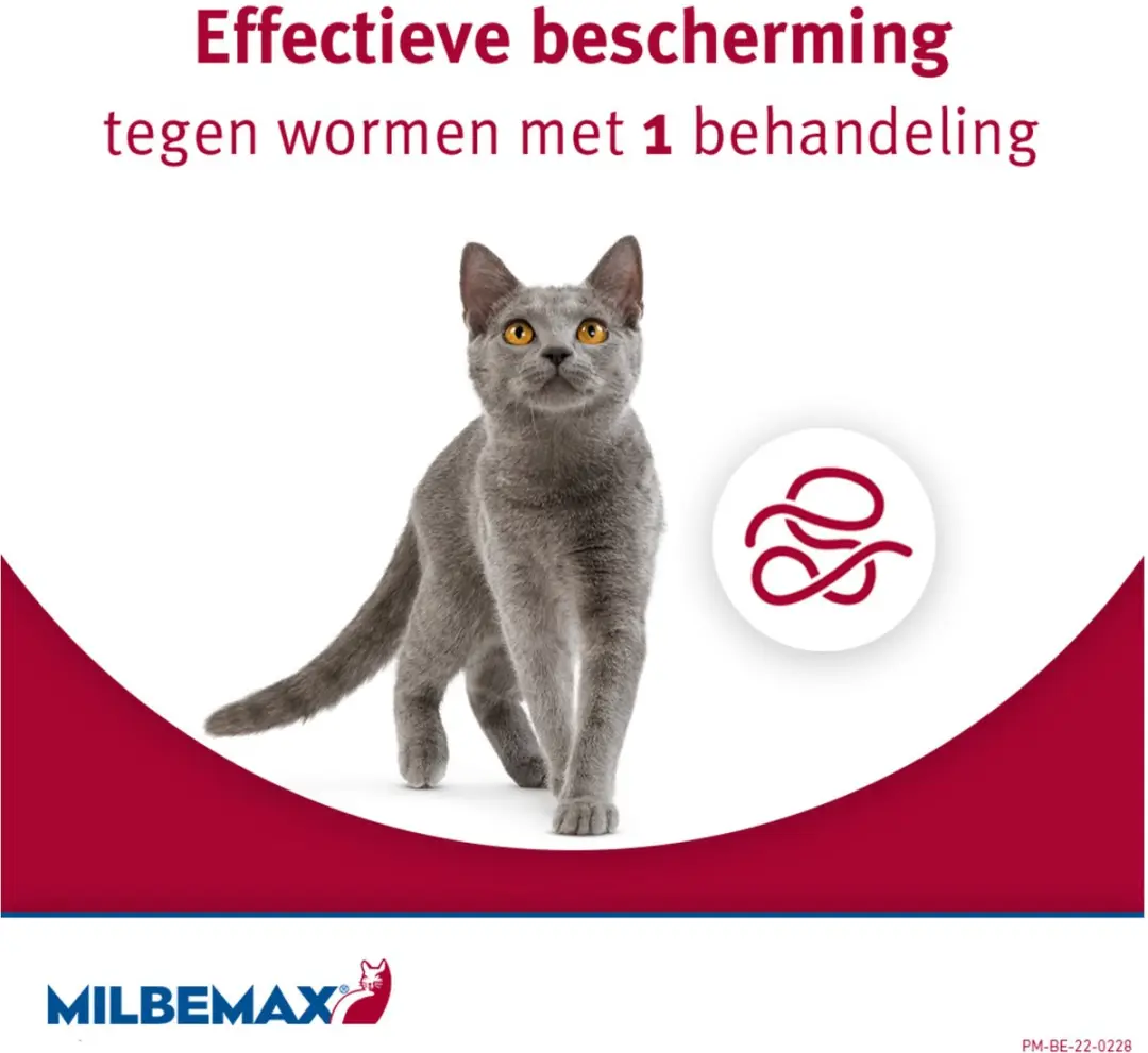 Milbemax Kat Anti-wormmiddel 2 tabletten - 2-8kg