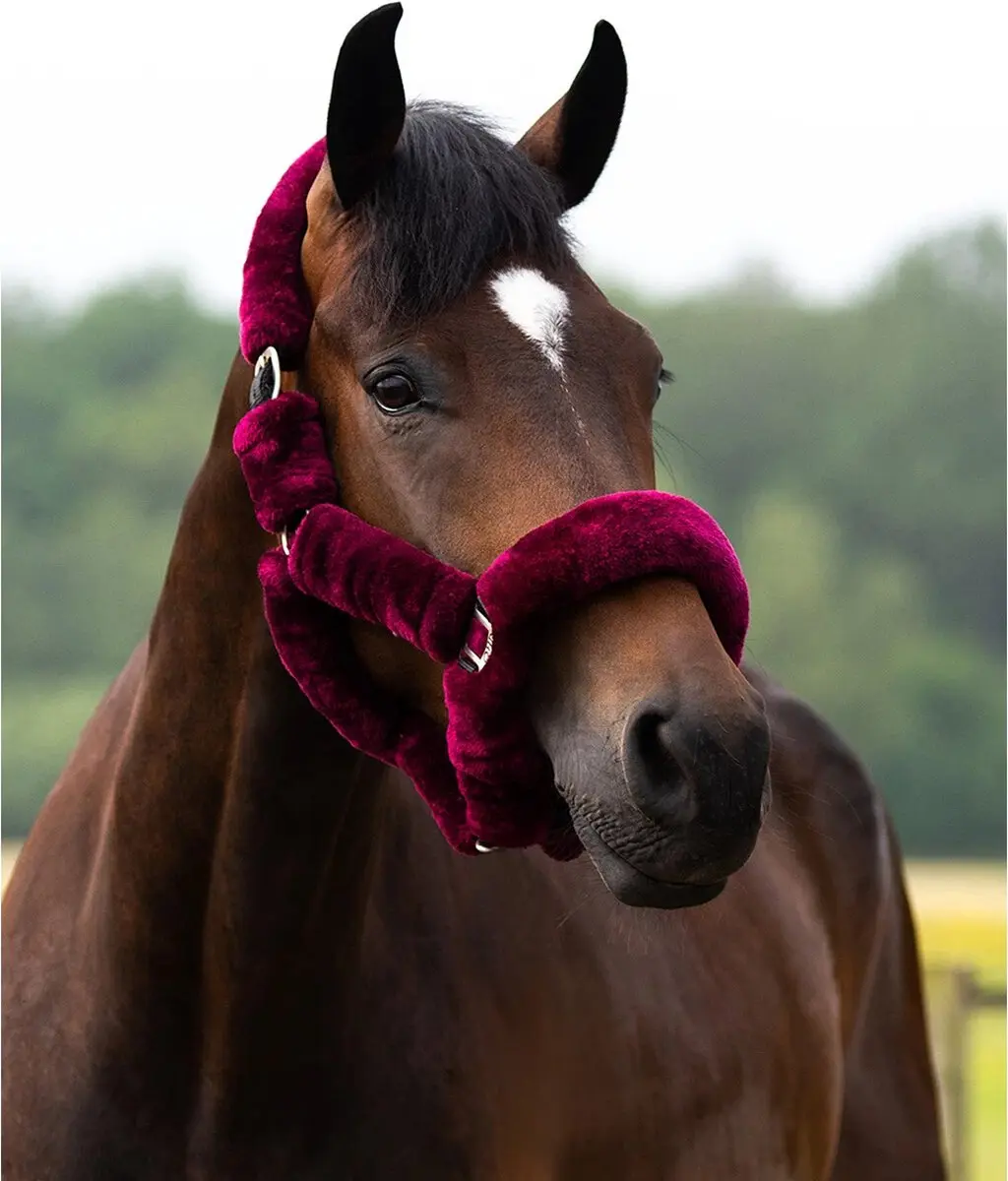 QHP Halster Alaska Donkerrood-zwart - Full
