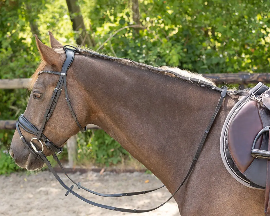 QHP Anti-Graas Teugel - One Size - Zwart