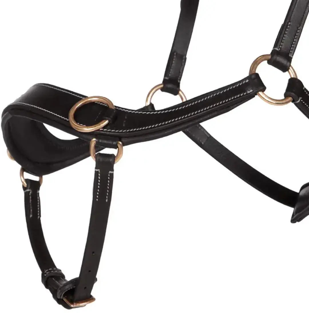 QHP Bitloos Hoofdstel Anatomical Cob - Zwart
