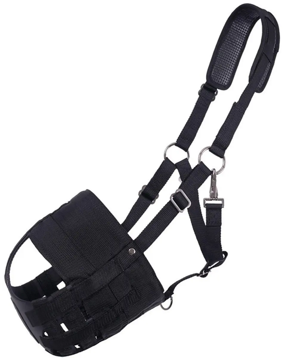 QHP Neopreen Mondkap voor Paarden