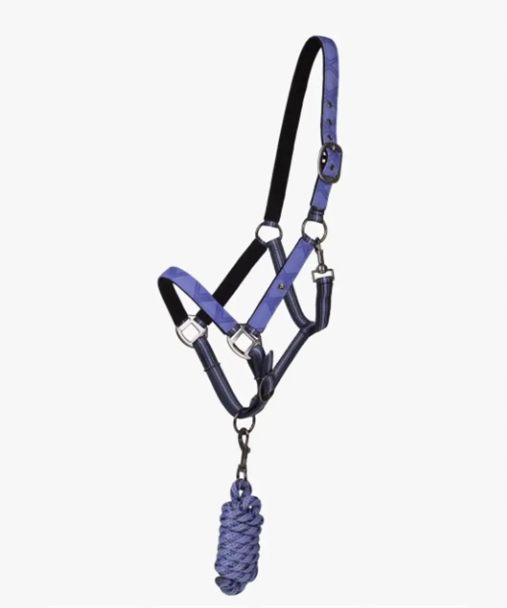 QHP Zadelhalter met Lijn PURPLE SUNSET COB