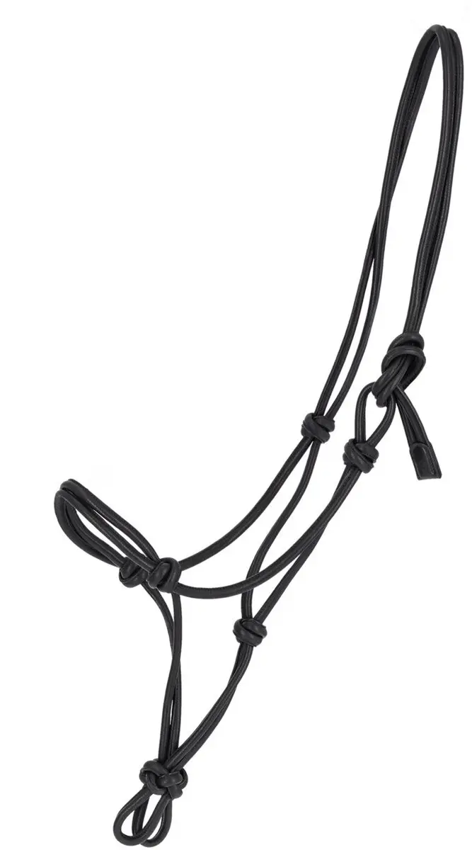 QHP Touwhalster Leer Liberta Pony