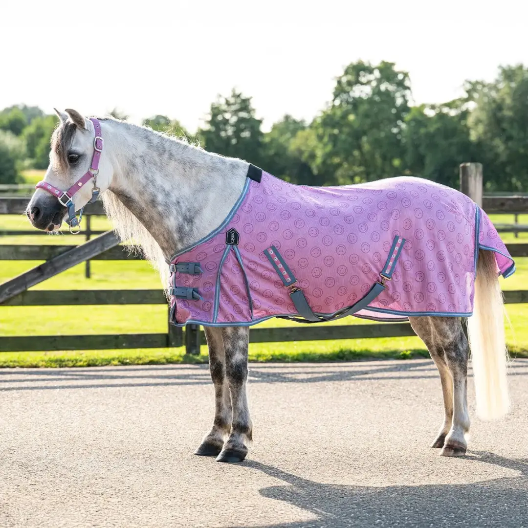 QHP Rosalynn Paardenvliegdekje - Roze/Blauw - afbeelding 4 van 4