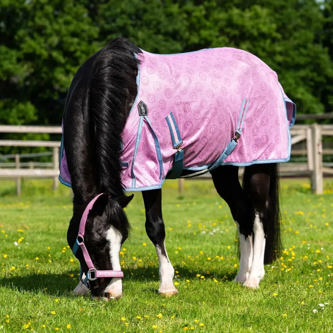 Paardenvliegdekje QHP Rosalynn