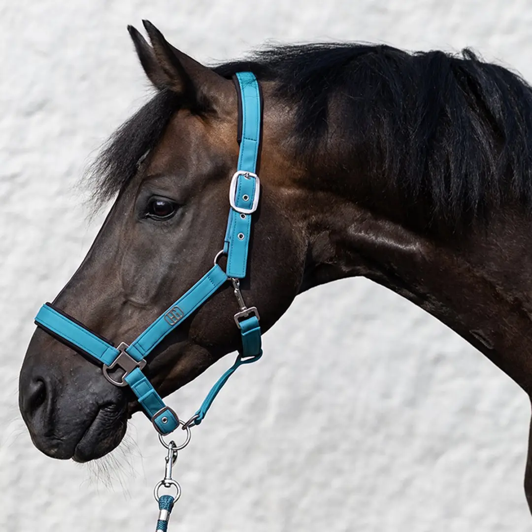 Horsegear Hgelisa Halsterset - Blauw