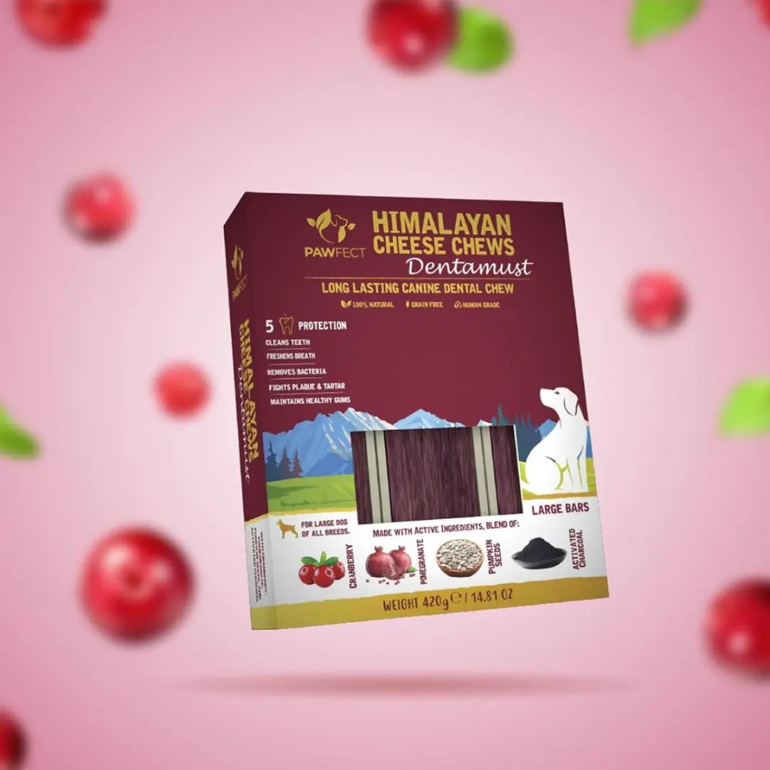 Pawfect Dentamust Bars Veenbessen Large 420 gr.