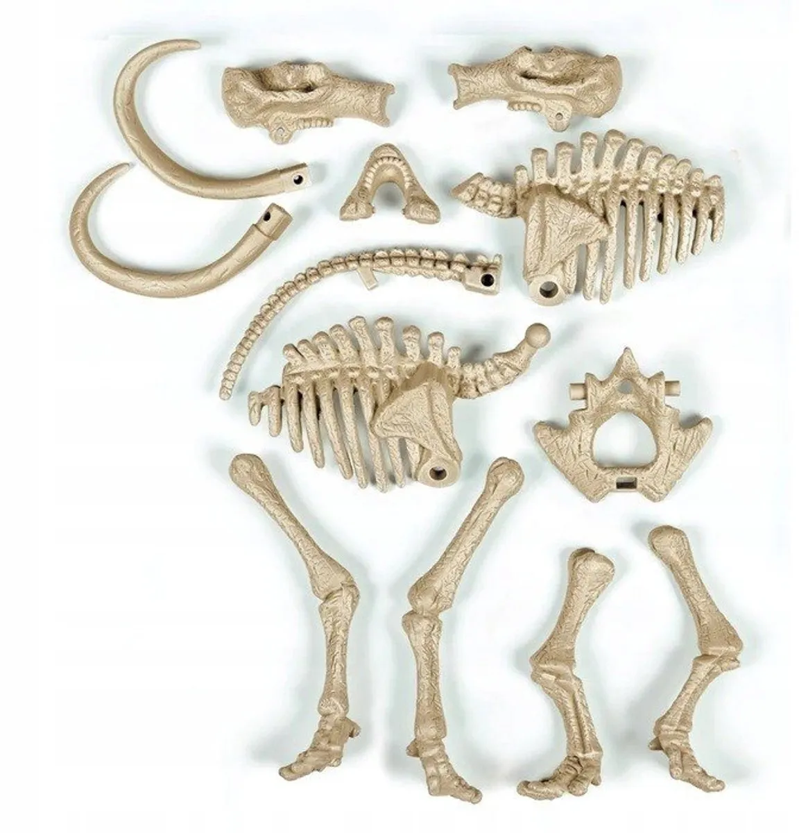 Clementoni Mammoet Skelet Opravingset - afbeelding 3 van 5