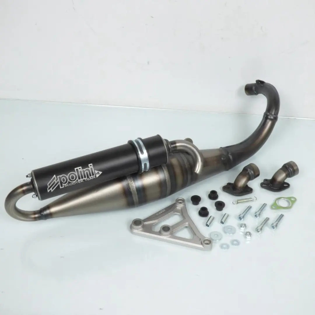 Pot d échappement Polini pour Scooter Peugeot 50 Ludix Classic 2004 à 2006 Neu