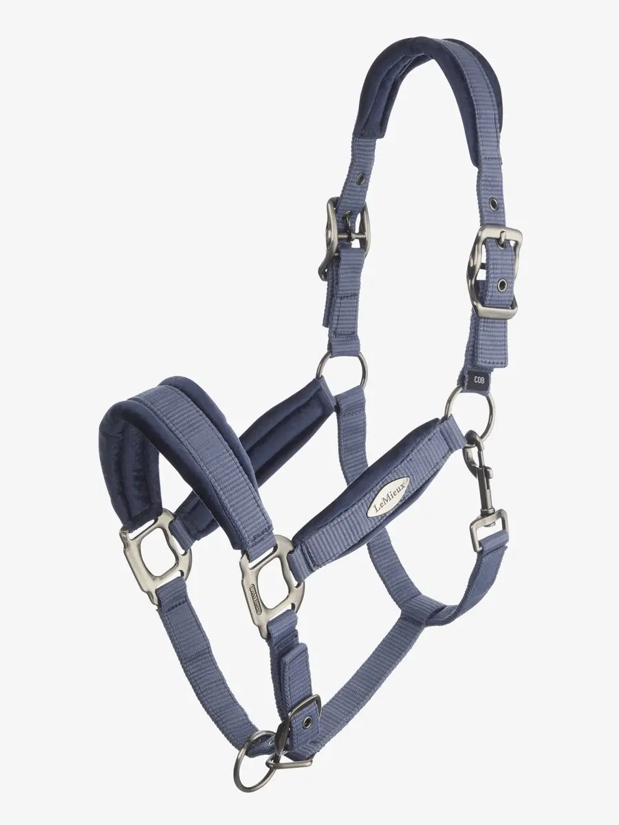 LeMieux Versailles Headcollar Pony Fern