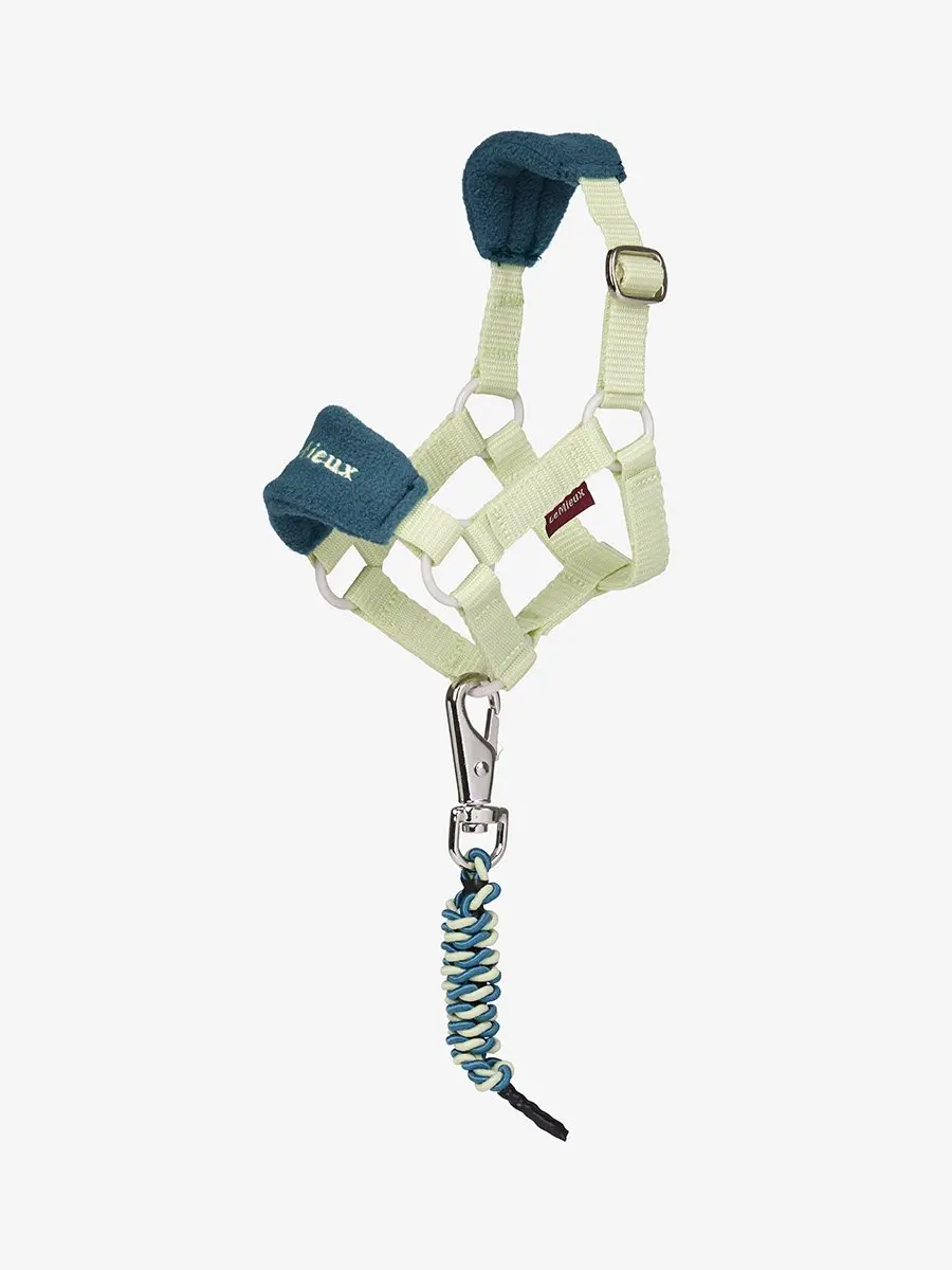 Lemieux Halsterset Lemieux Toy Pony Vogue Ss26 Lichtgroen