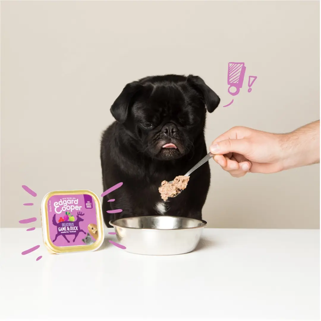Edgard & Cooper Kuipje Vers Vlees Wild - Eend 300g