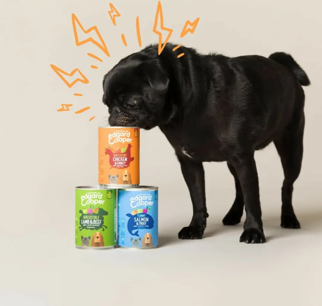 Edgard & Cooper Wild & Eend Hondenvoer Blik 400g