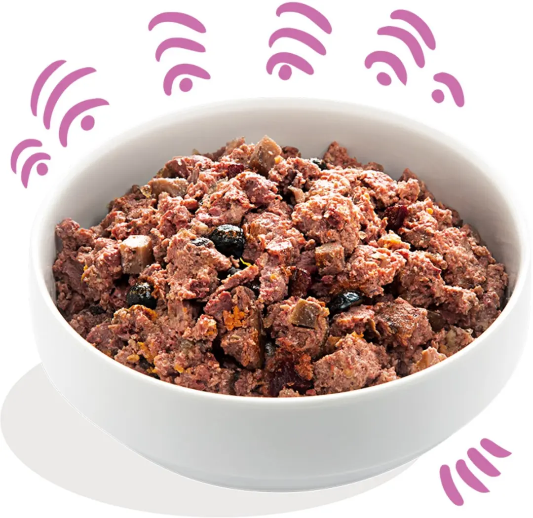 Edgard & Cooper Wild & Eend Hondenvoer Blik 400g