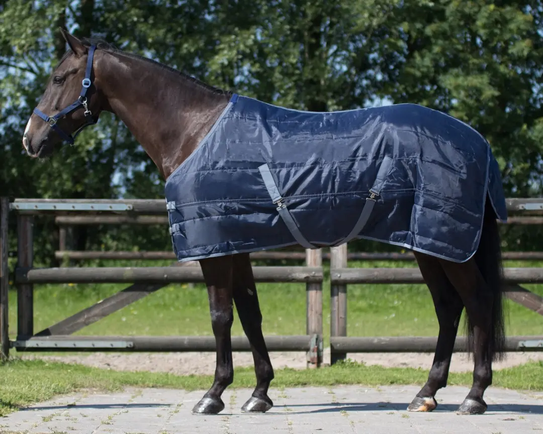 QHP Staldeken Start Navy 150gr - 195cm - 4-Seizoenen