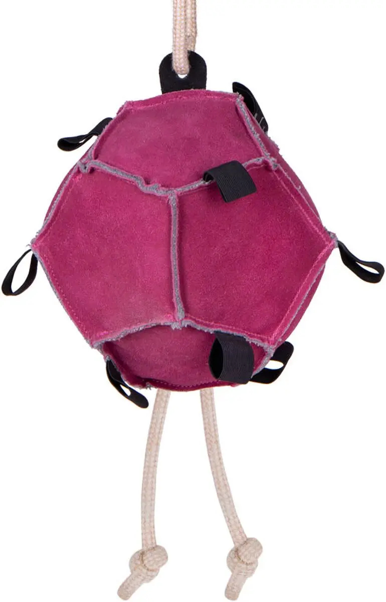 QHP Paardenspeelgoed Bal - Blauw