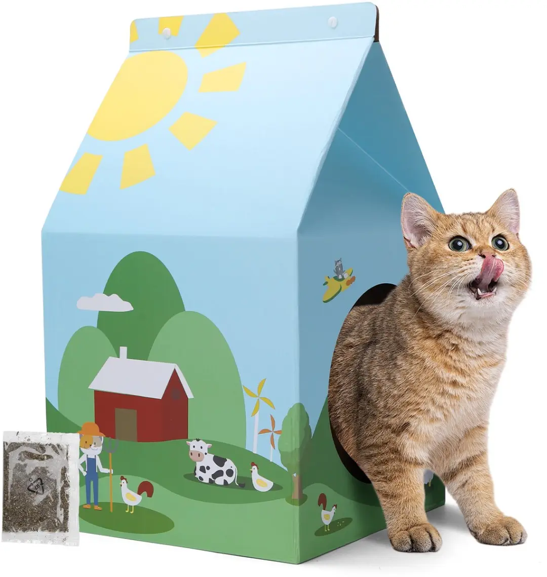 Nobleza Katten Krabplank met Kattenkruid