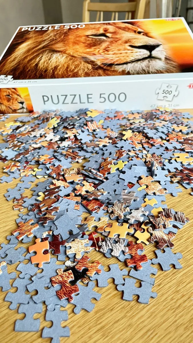 Tactic African Lion Puzzel 500 Stukjes - Bont