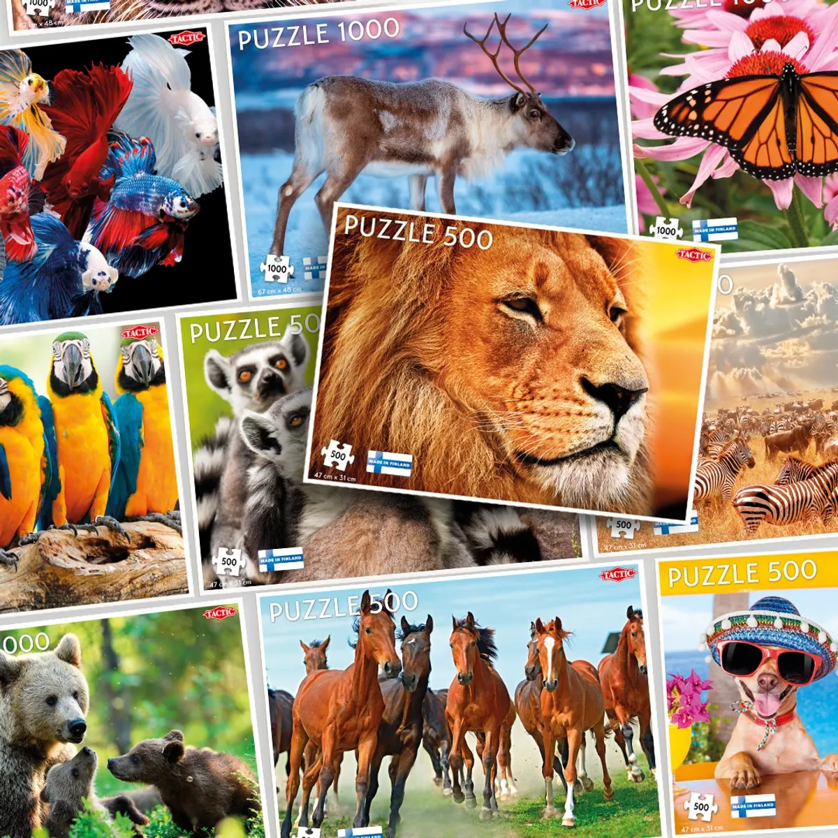 Tactic African Lion Puzzel 500 Stukjes - Bont