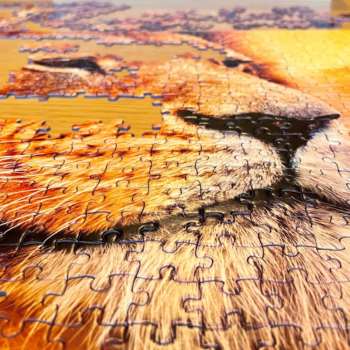Tactic African Lion Puzzel 500 Stukjes - Bont