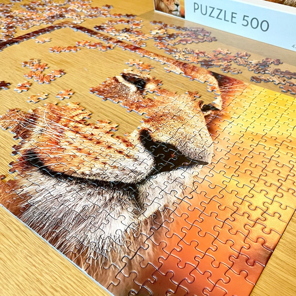 Tactic African Lion Puzzel 500 Stukjes - Bont