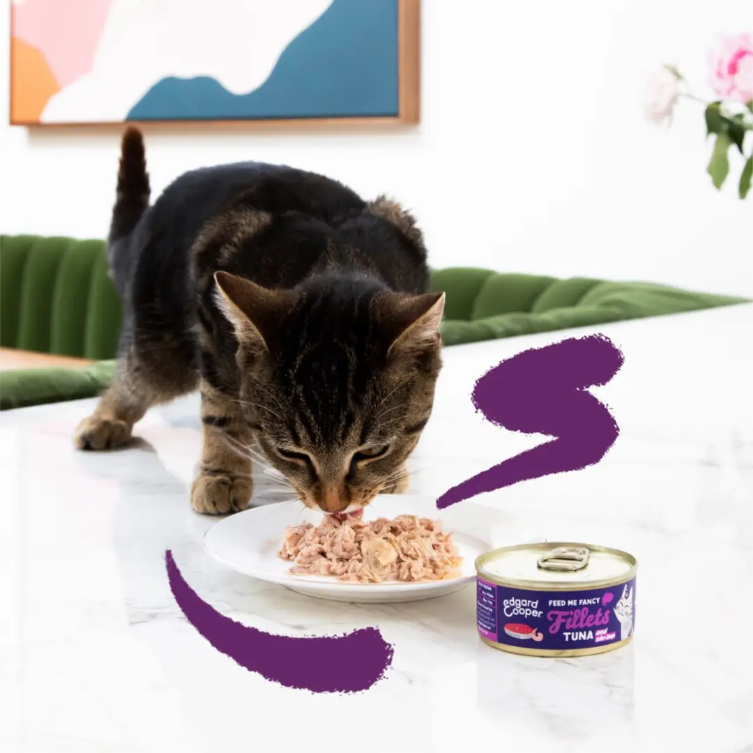 Edgard & Cooper Kattenvoer Fillets Tonijn - Garnaal 70g