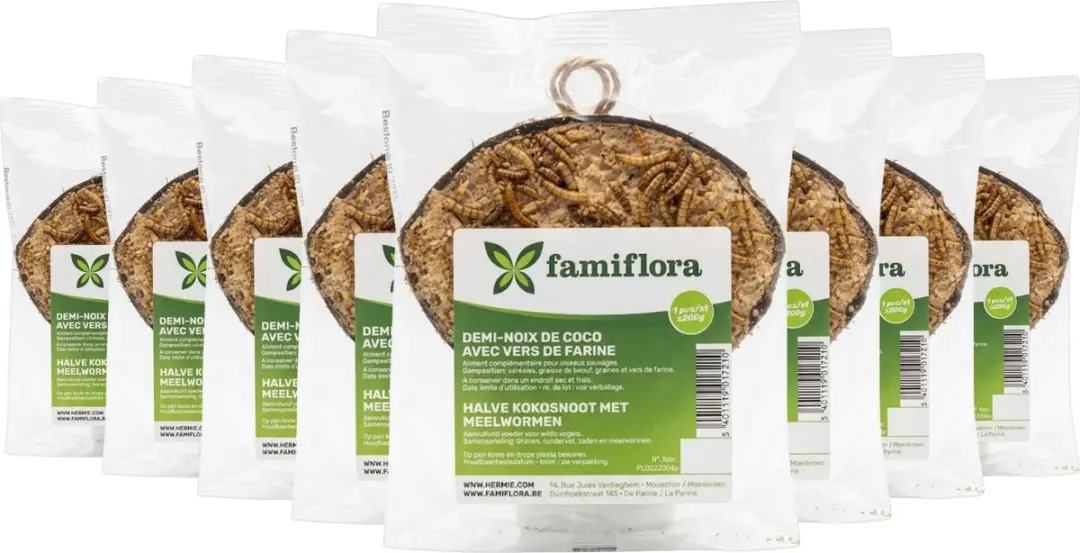 Famiflora Halve Kokosnoot Gevuld