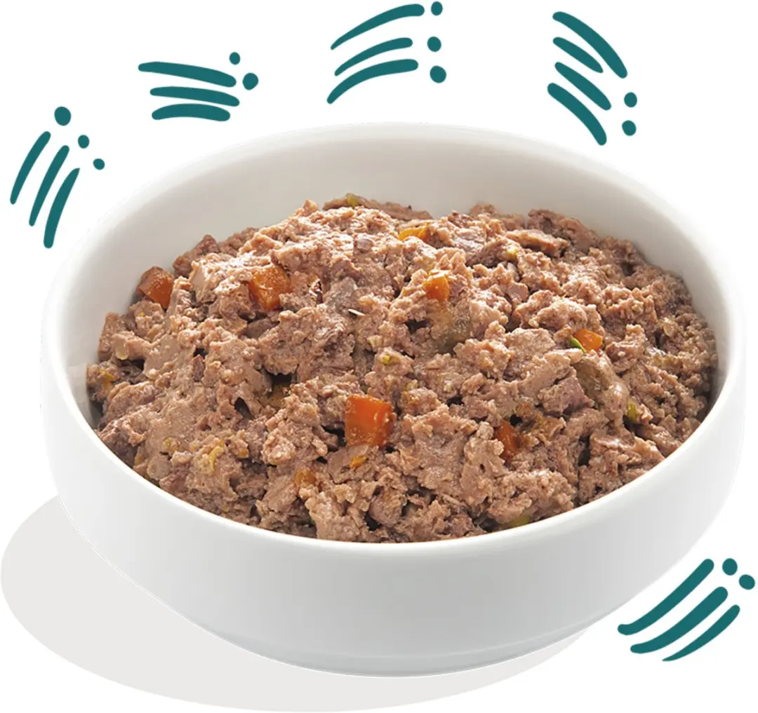 Edgard & Cooper Biologische Vis Kuipje 100g