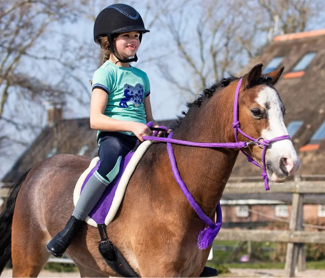 QHP Bareback Pad Passion Flower - Full - Paars - afbeelding 6 van 6