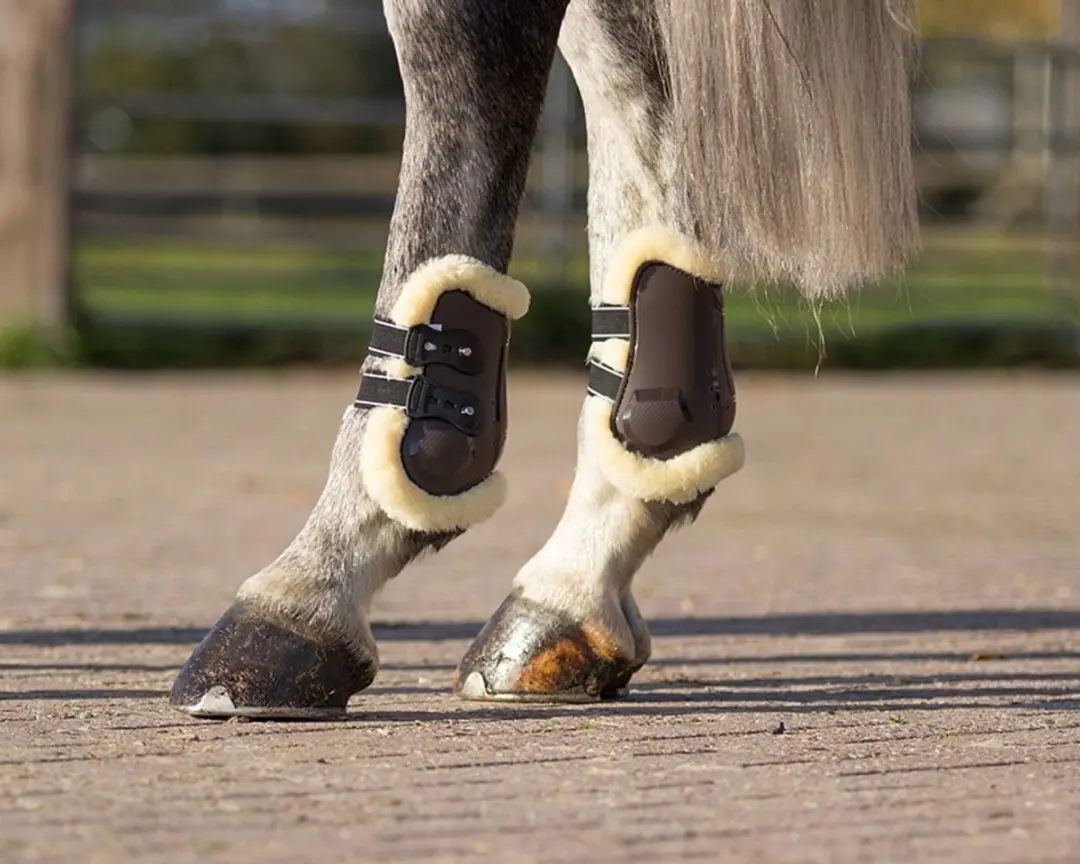 QHP Ontario Kogelbeschermers Full - Bruin