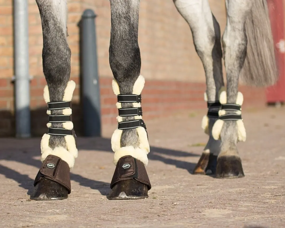 QHP Ontario Kogelbeschermers Full - Bruin