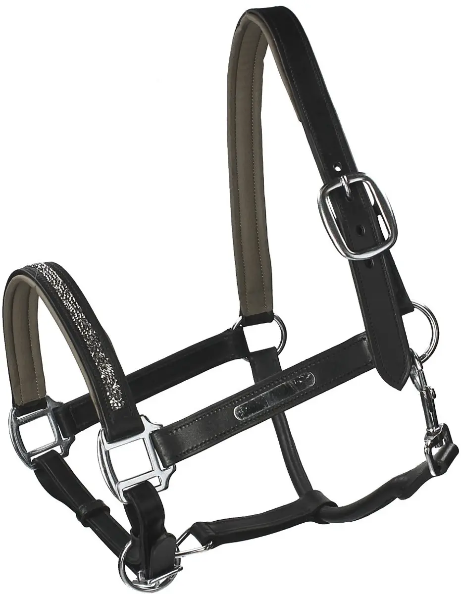 QHP Halster Lupine Leer