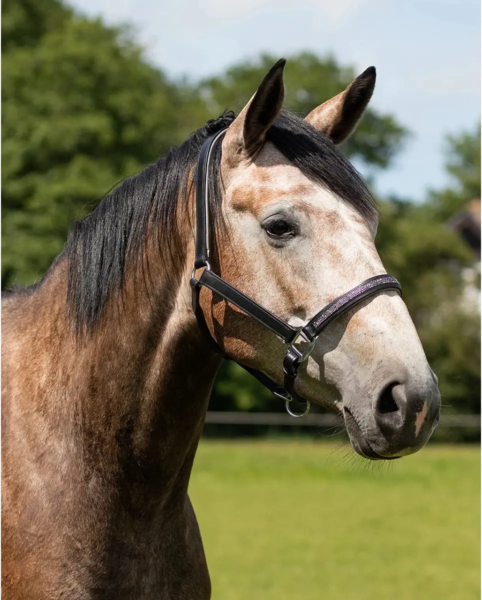 QHP Halster Lupine Leer - Cob - Zwart-grijs - afbeelding 6 van 6