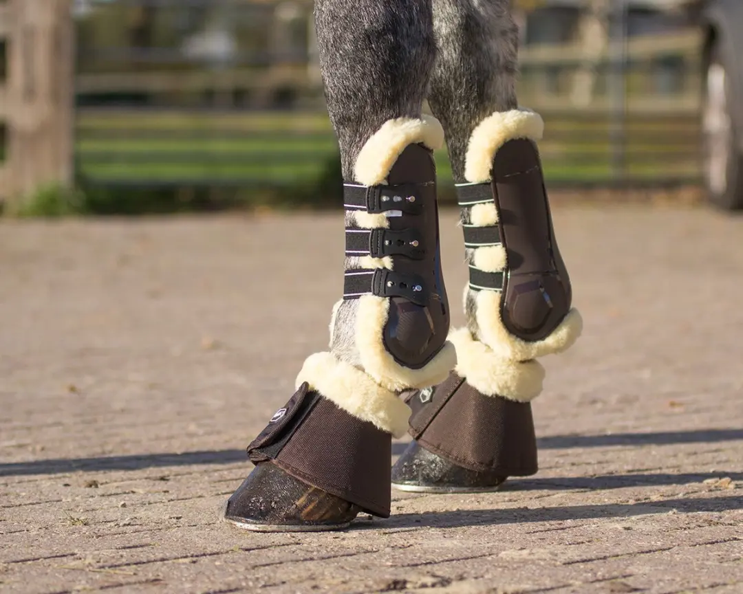 QHP Peesbeschermers Ontario - Pony - Zwart