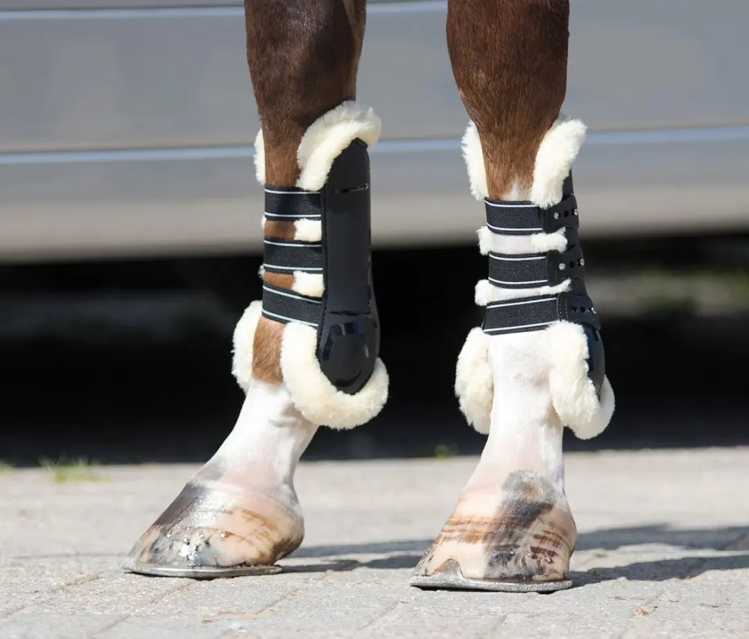 QHP Peesbeschermers Ontario - Pony - Zwart
