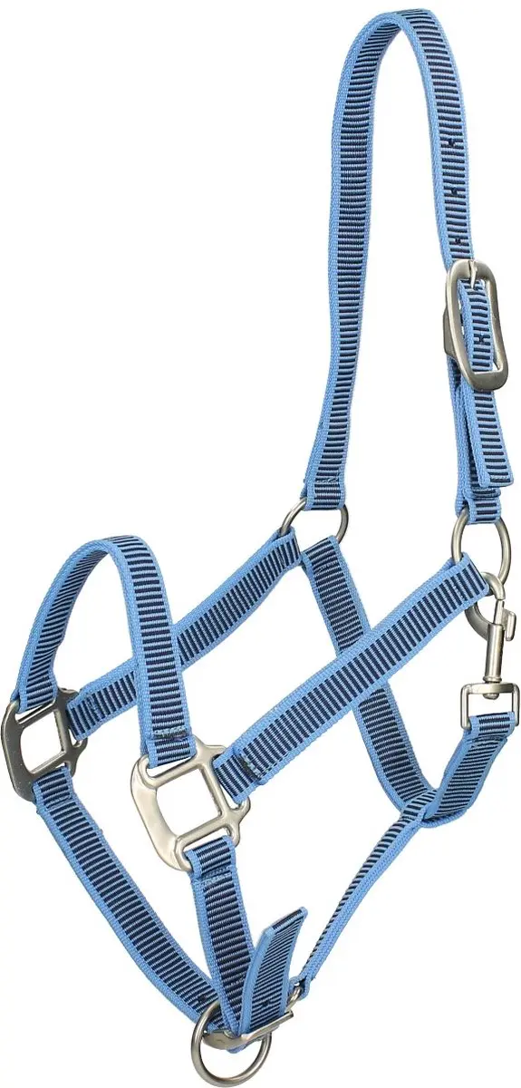 Epplejeck Halster Pony
