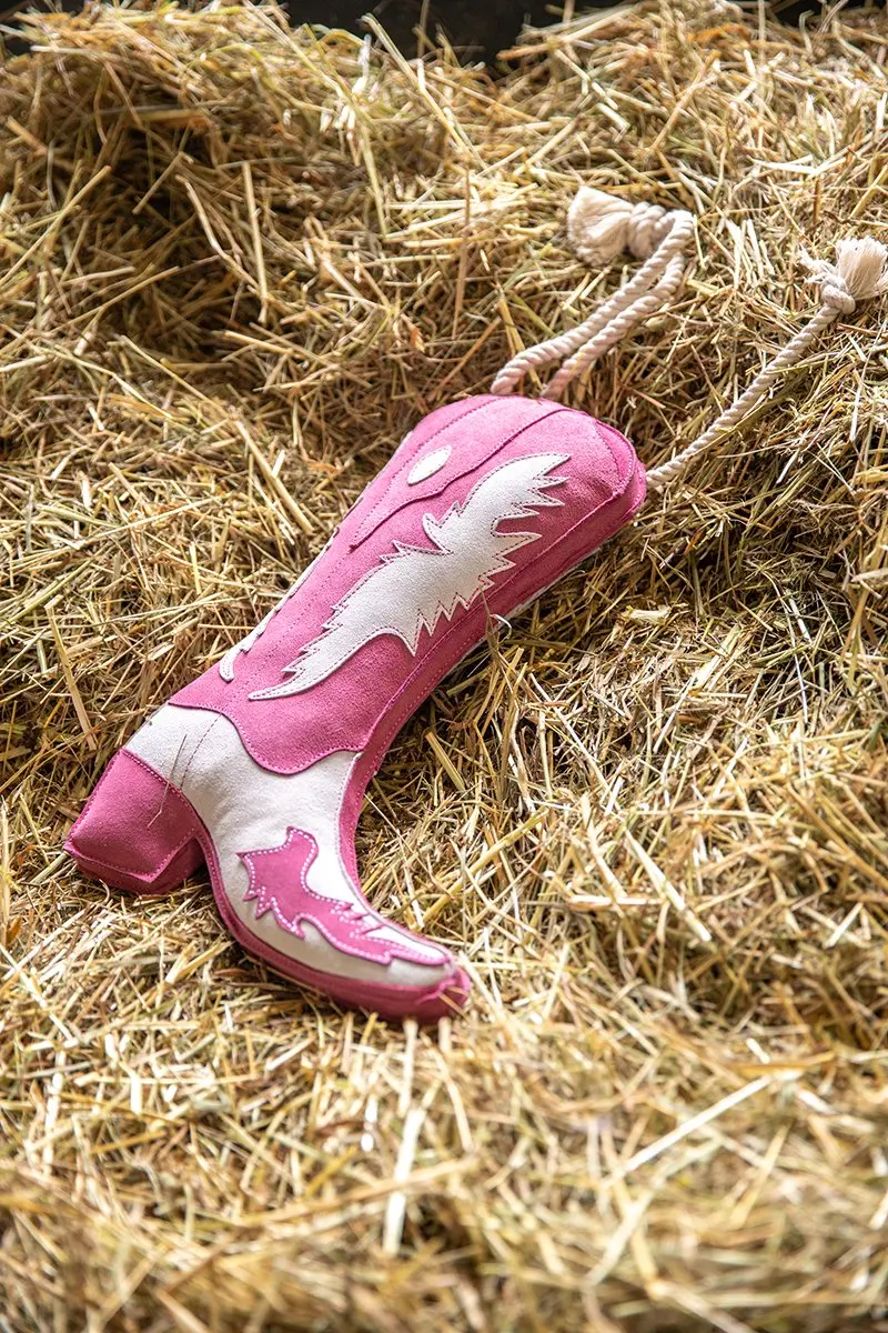 Epplejeck Cowboylaars Ladies Night 2026
