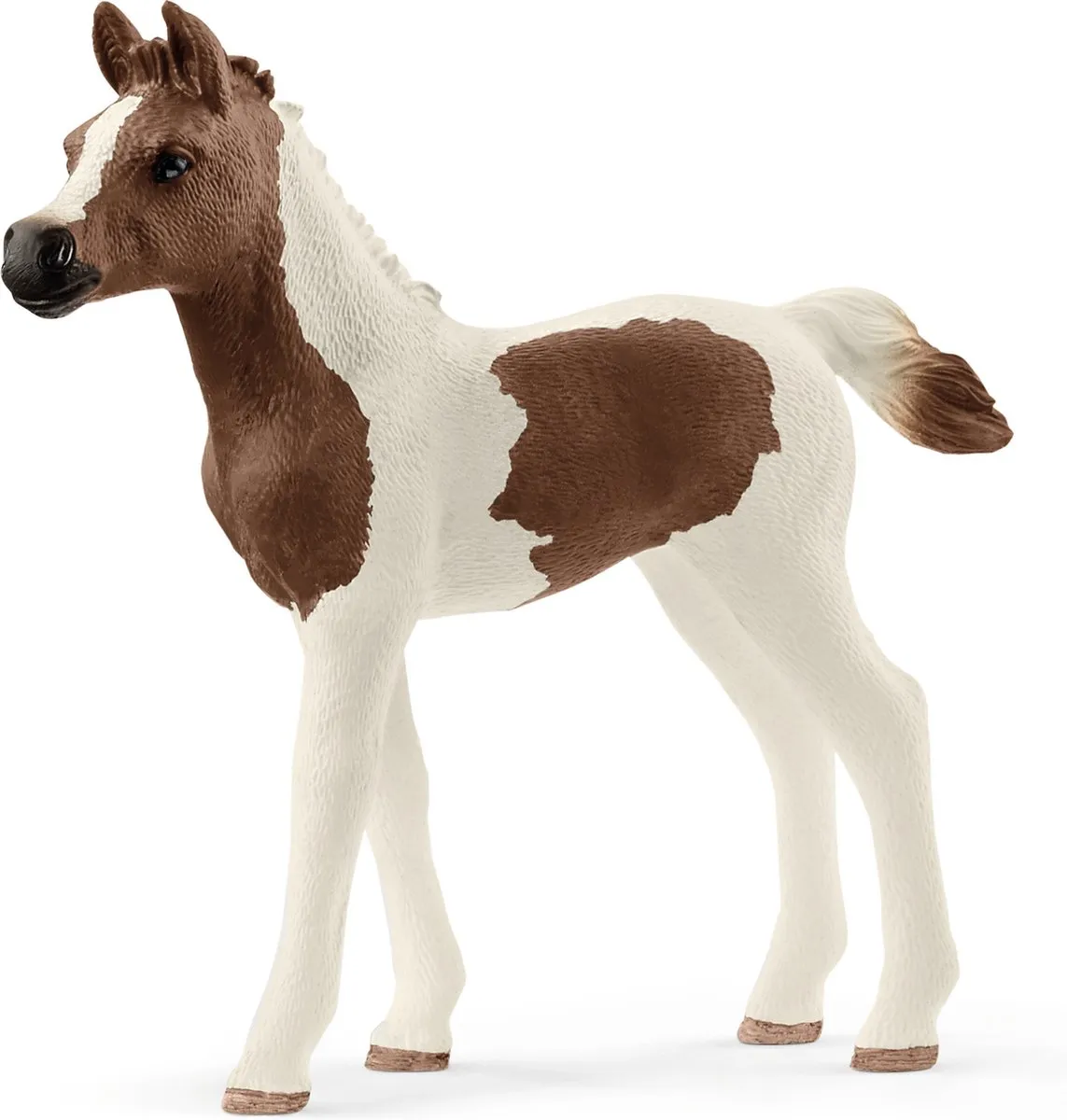 Schleich Pintabian Veulen 13839 - Wit