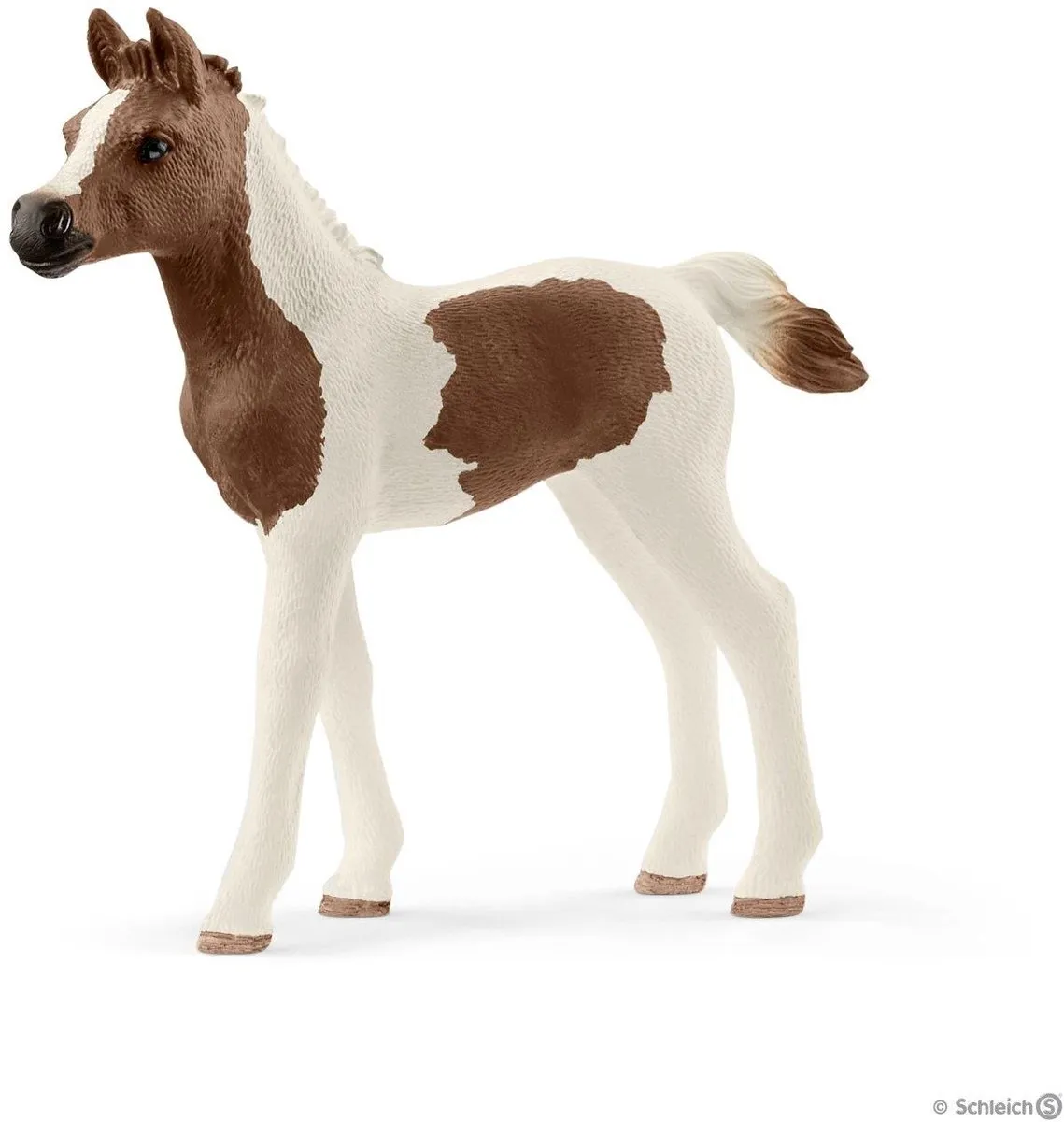 Schleich Pintabian Veulen 13839