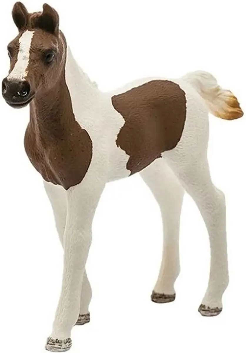 Schleich Pintabian Veulen 13839 - Wit