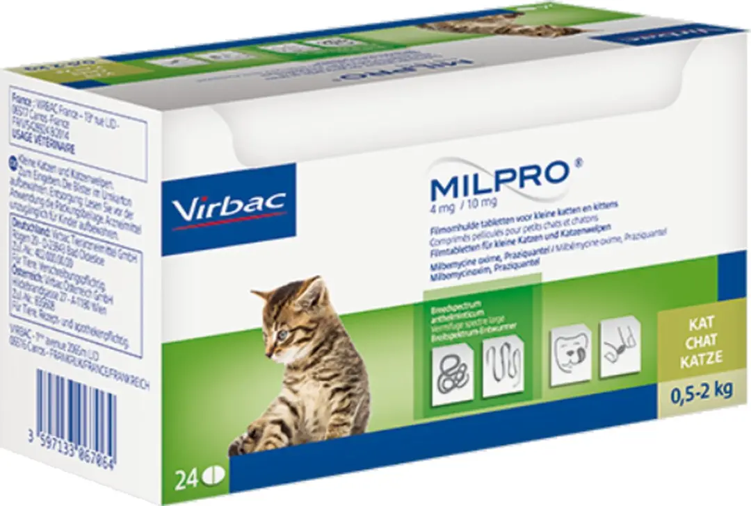 Milpro Kitten / Kleine Kat