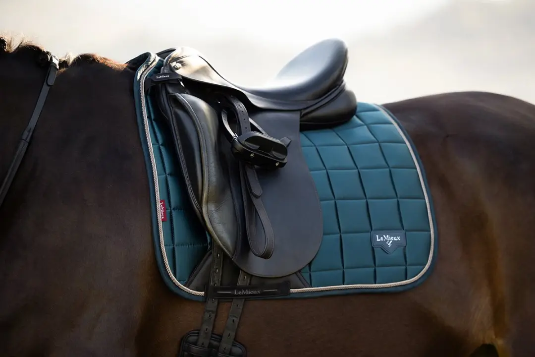 Lemieux Zadeldek Lemieux Loire Dressuur Turquoise