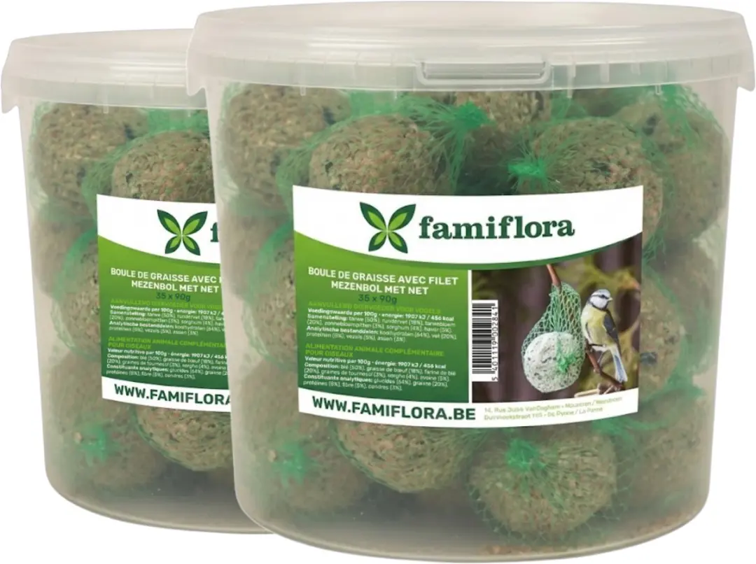 Famiflora mezenbollen in emmer
