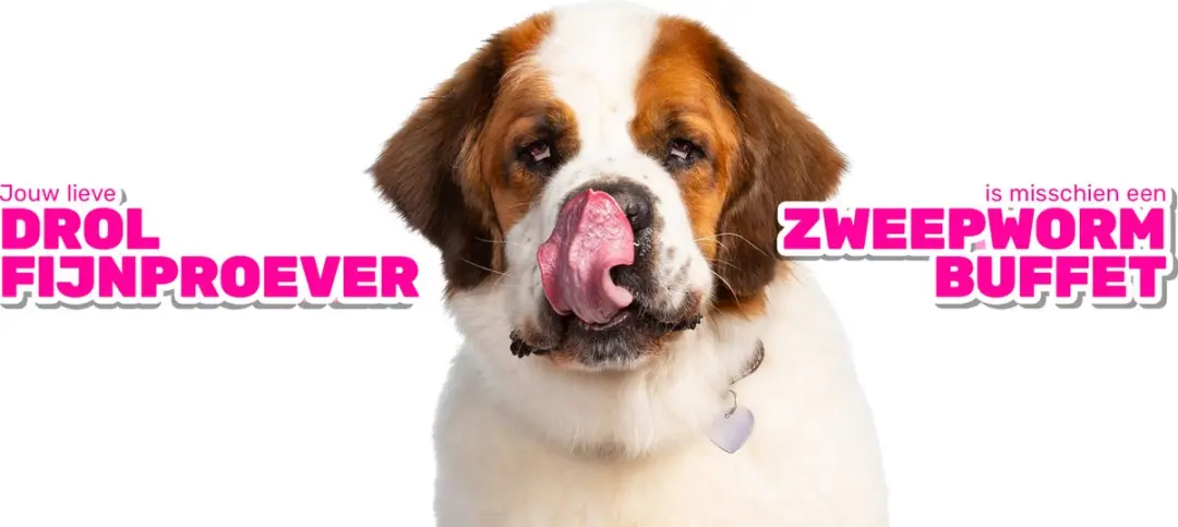 Milbemax Pup & Hond Anti-wormen 4 tabletten 0,5-10 kg