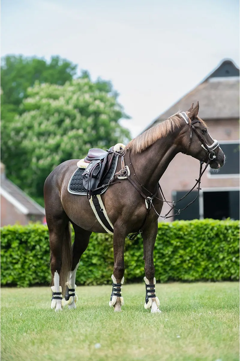 QHP Singel Ontario Zwart 105cm - afbeelding 6 van 6