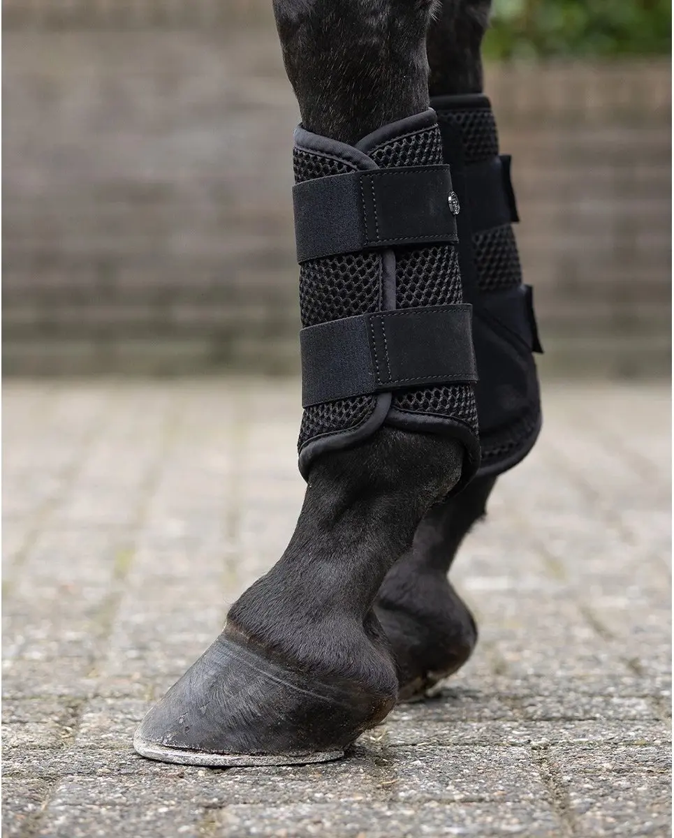 QHP Jorine Beenbeschermers XL - 2 Stuks - afbeelding 2 van 4