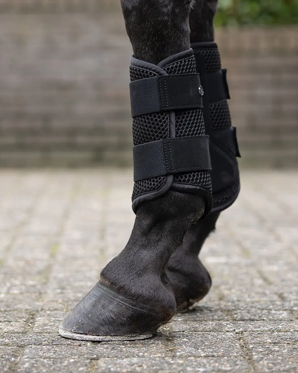 QHP Jorine Beenbeschermers XL - 2 Stuks - afbeelding 3 van 4
