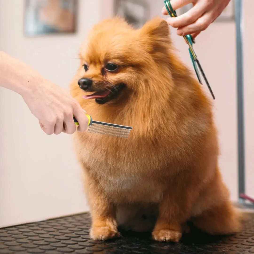 Nobleza Honden- en Kattenkam 40 Pinnen - Groen/Zwart